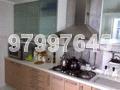 Dahlia Park Condominium (D17), Condominium #161884372